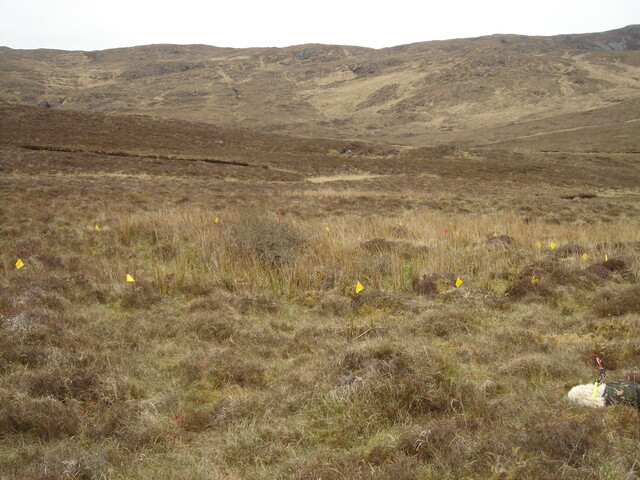 from NW overview DSC03894.JPG