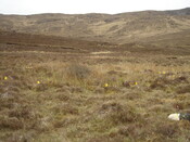 from NW overview DSC03894.JPG