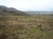 MHG59702_01.JPG