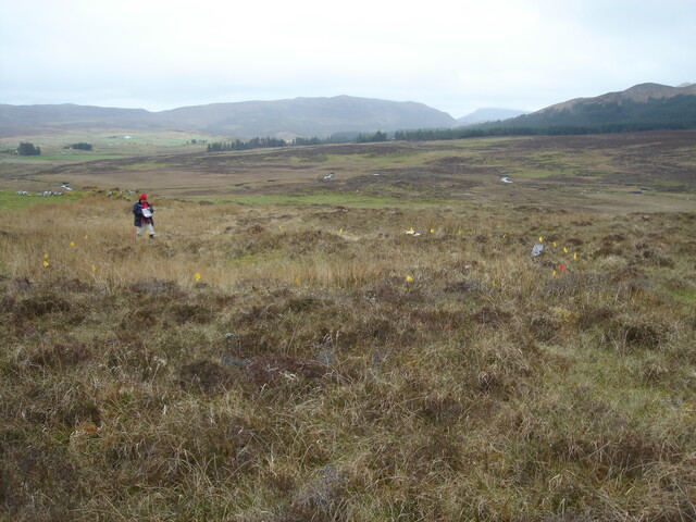 MHG59702_02.JPG