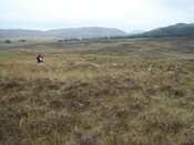 MHG59702_02.JPG