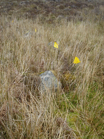 MHG59702_03.JPG