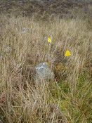 MHG59702_03.JPG