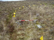 MHG59702_05.JPG
