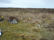 MHG59702_06.JPG