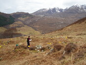 MHG59839_01.JPG