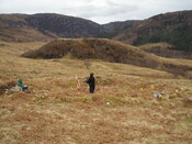 MHG59839_02.JPG