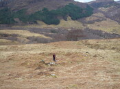 MHG59839_03.JPG