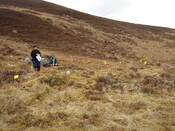 MHG59839_04.JPG