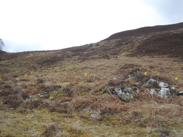MHG59839_06.JPG