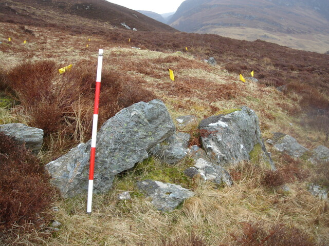 MHG59841_07.JPG