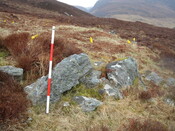 MHG59841_07.JPG