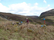 MHG59847_03.JPG