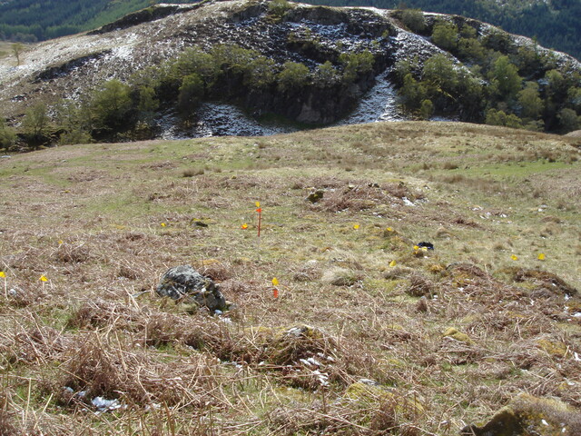 MHG59901_02.JPG