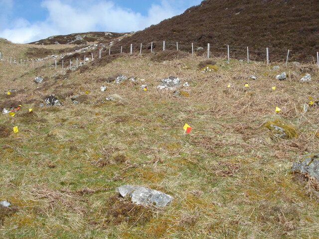 MHG59901_03.JPG
