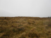 MHG7816_07.JPG