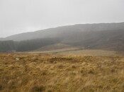 MHG7816_08.JPG