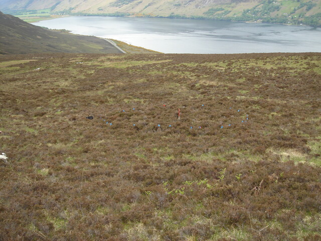 MHG7844_01.JPG