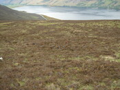 MHG7844_01.JPG