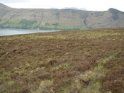 MHG7844_02.JPG