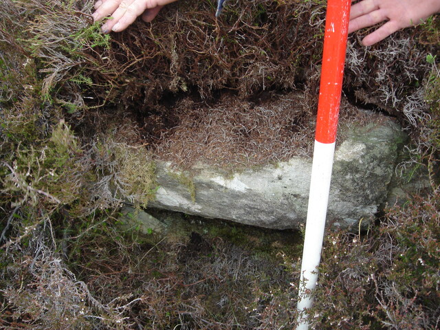 MHG7844_03.JPG