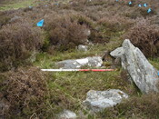 MHG7844_04.JPG