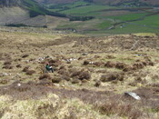MHG59963_01.JPG