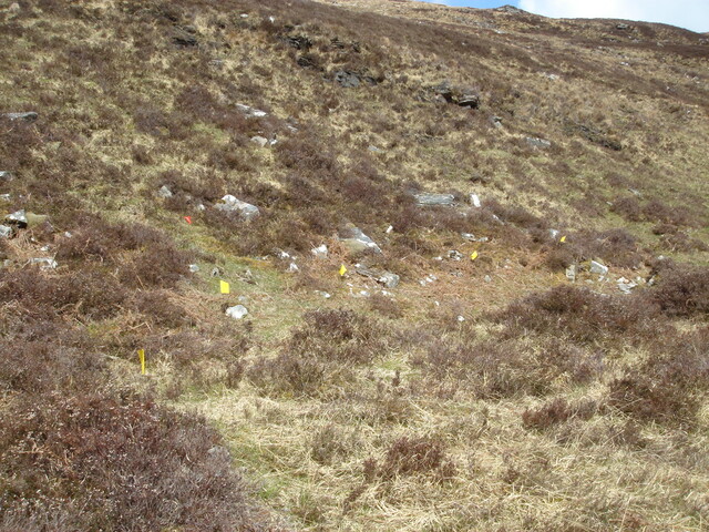 MHG59963_03.JPG