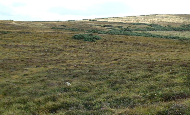 UpDoun12 - Stone rows.JPG