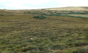 UpDoun12 - Stone rows.JPG
