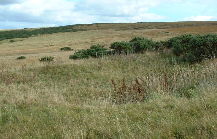 UpDoun13 - site 13.JPG
