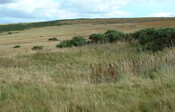 UpDoun13 - site 13.JPG