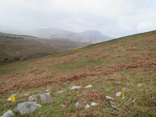 MHG60232_04.JPG