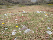 MHG60232_06.JPG