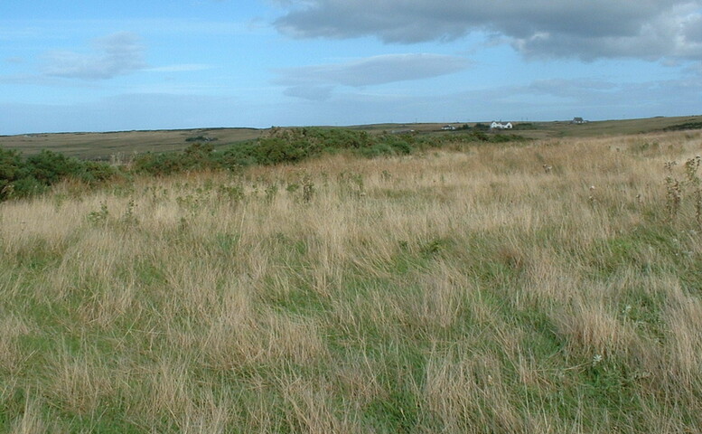 UpDoun16 - site 8.JPG