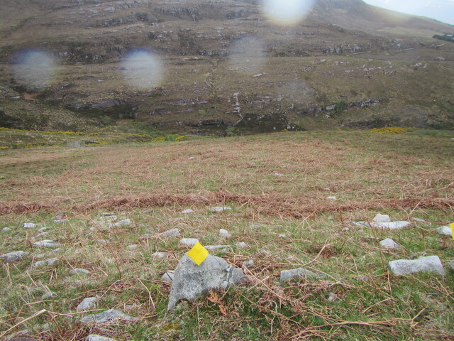 MHG60232_07.JPG