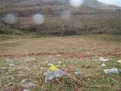 MHG60232_07.JPG