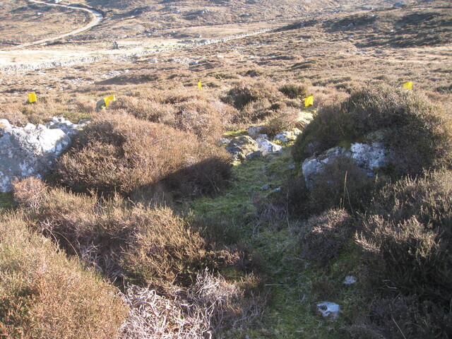 MHG60263_01.JPG