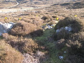 MHG60263_01.JPG