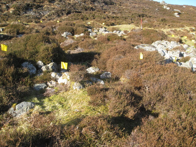 MHG60263_02.JPG