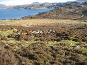 MHG60263_04.JPG