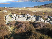 MHG60263_05.JPG