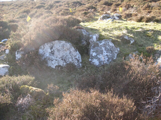 MHG60263_06.JPG