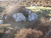 MHG60263_06.JPG