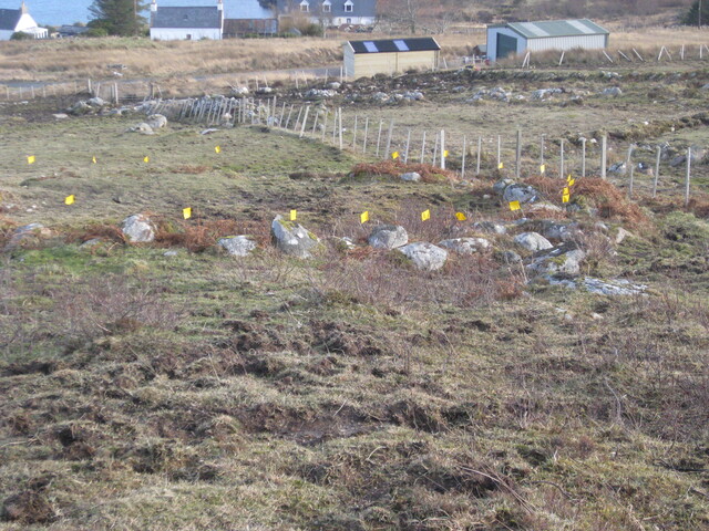 MHG60264_01.JPG