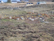 MHG60264_01.JPG