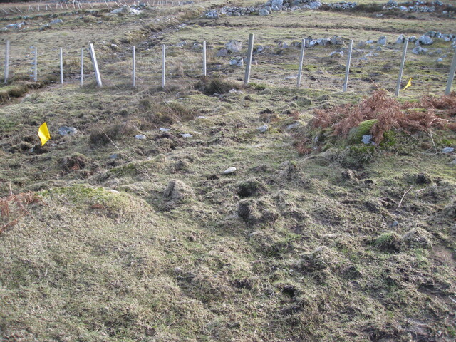MHG60264_02.JPG
