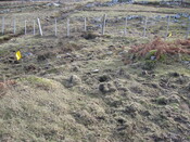 MHG60264_02.JPG