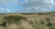 UpDoun18 - site 9.JPG