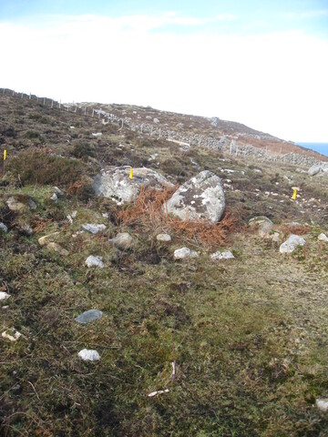 MHG60264_03.JPG
